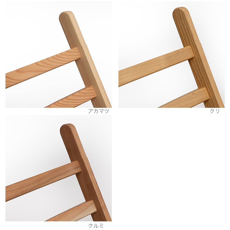 Chairޤꤿߥ pioneer plants