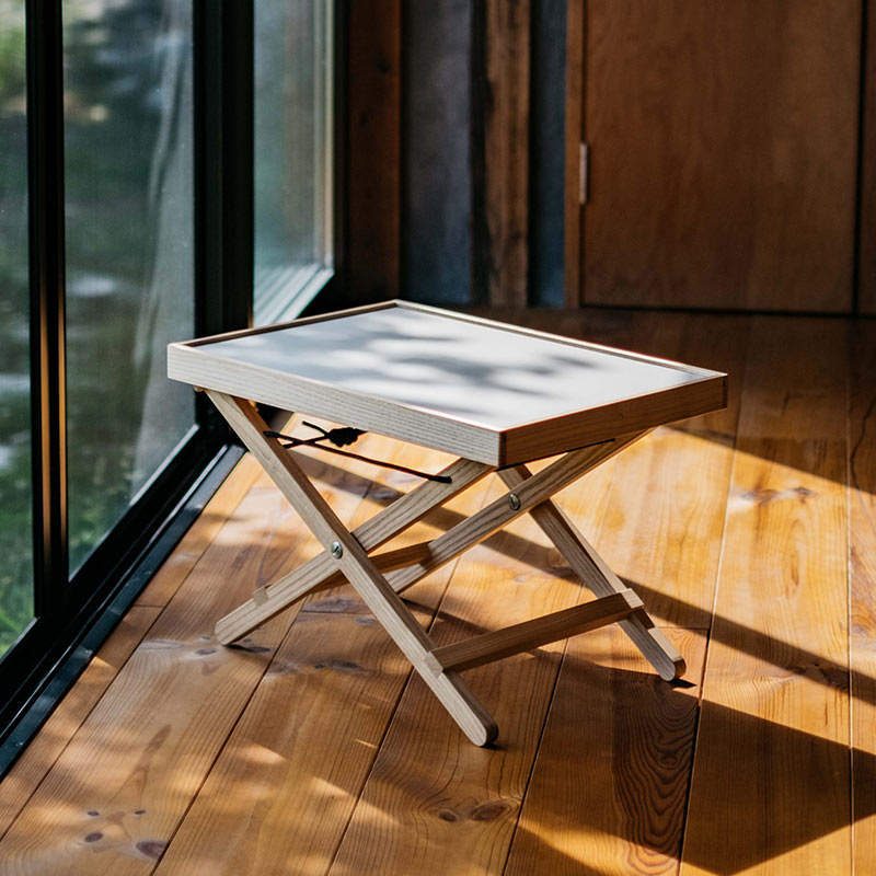 Tray & Legޤꤿߥơ֥ pioneer plants