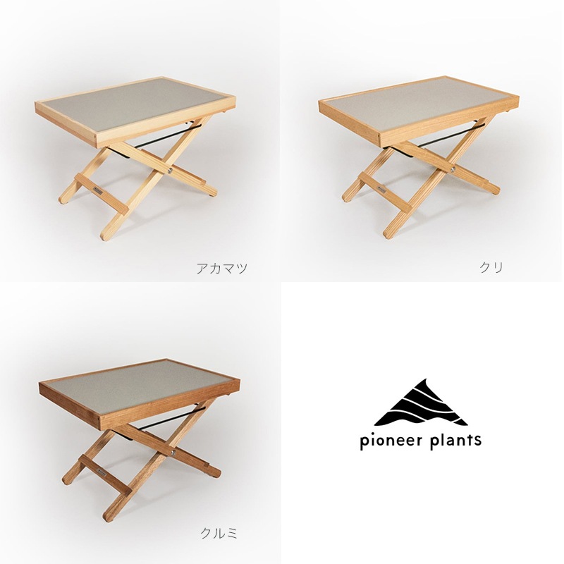 Tray & Legޤꤿߥơ֥ pioneer plants