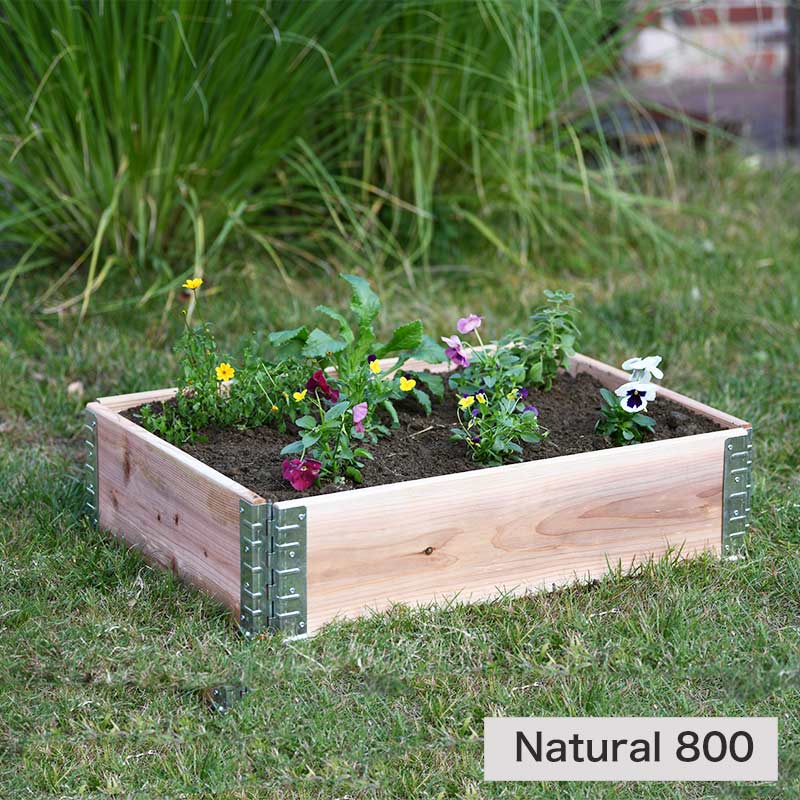 �����ǥ�ܥå����ȥ���ݥ��ȡʥ����ˤΥ��å�