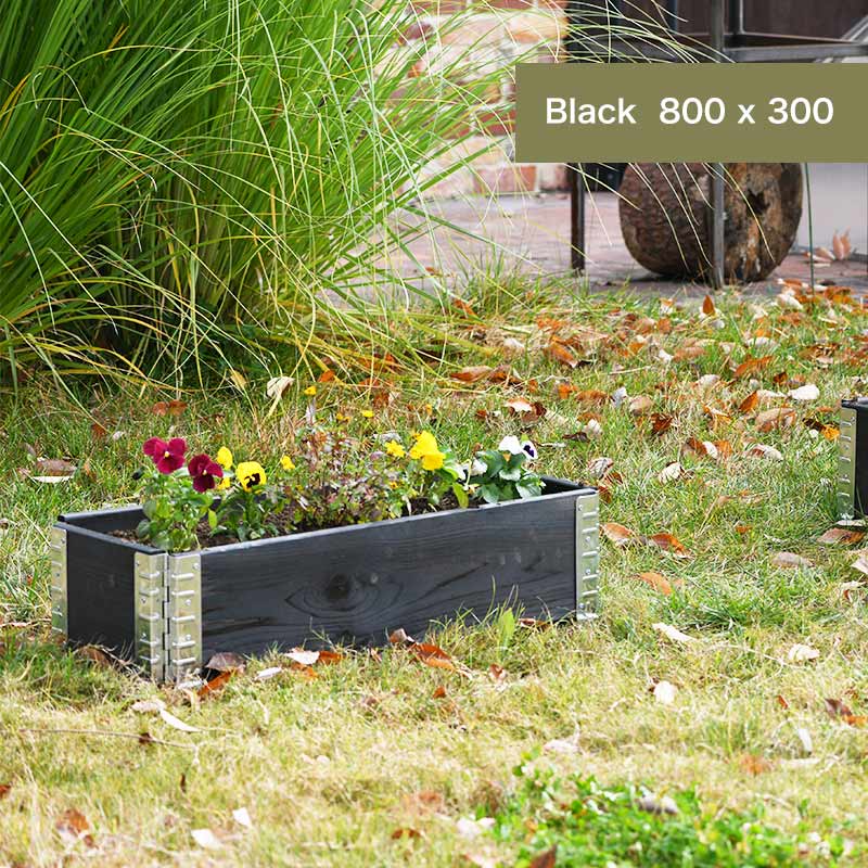 �����ǥ�ܥå����ȥ���ݥ��ȡʥ����ˤΥ��å�