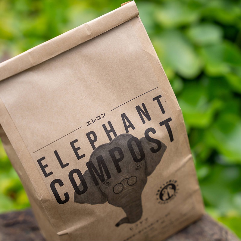 �����ǥ�ܥå����ȥ���ݥ��ȡʥ����ˤΥ��å�