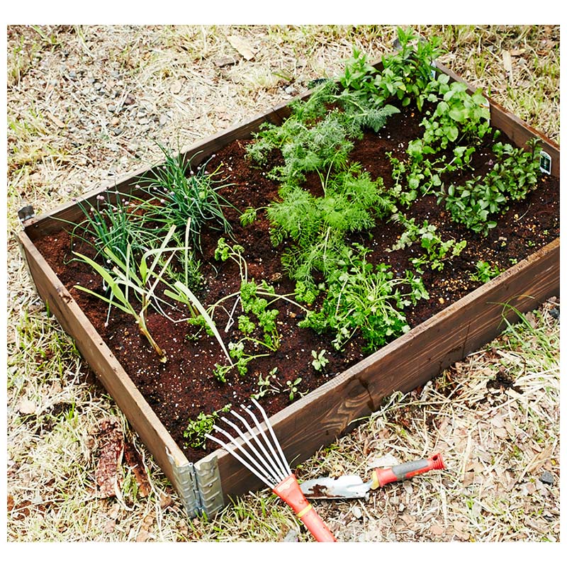 �����ǥ�ܥå����ȥ���ݥ��ȡʥ����ˤΥ��å�