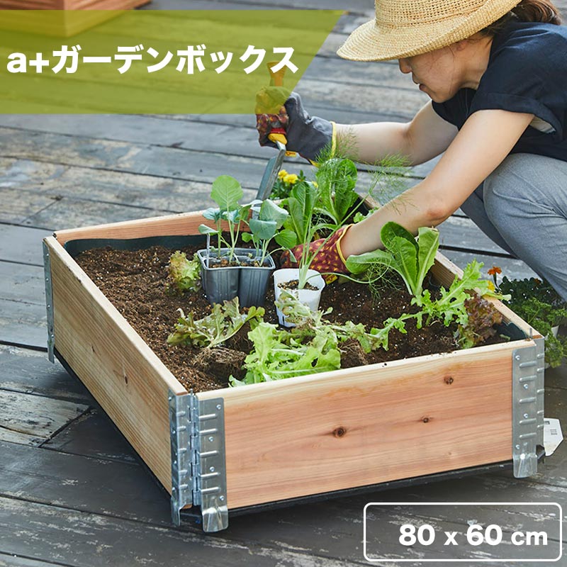 �����ǥ�ܥå����ȥ���ݥ��ȡʥ����ˤΥ��å�