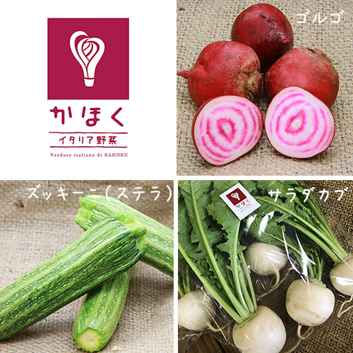 ���ۤ������ꥢ��� 7 - 8�糧�å� �ͤ�礻�ڤ��ۤ������ꥢ��ڸ�����  ��������������