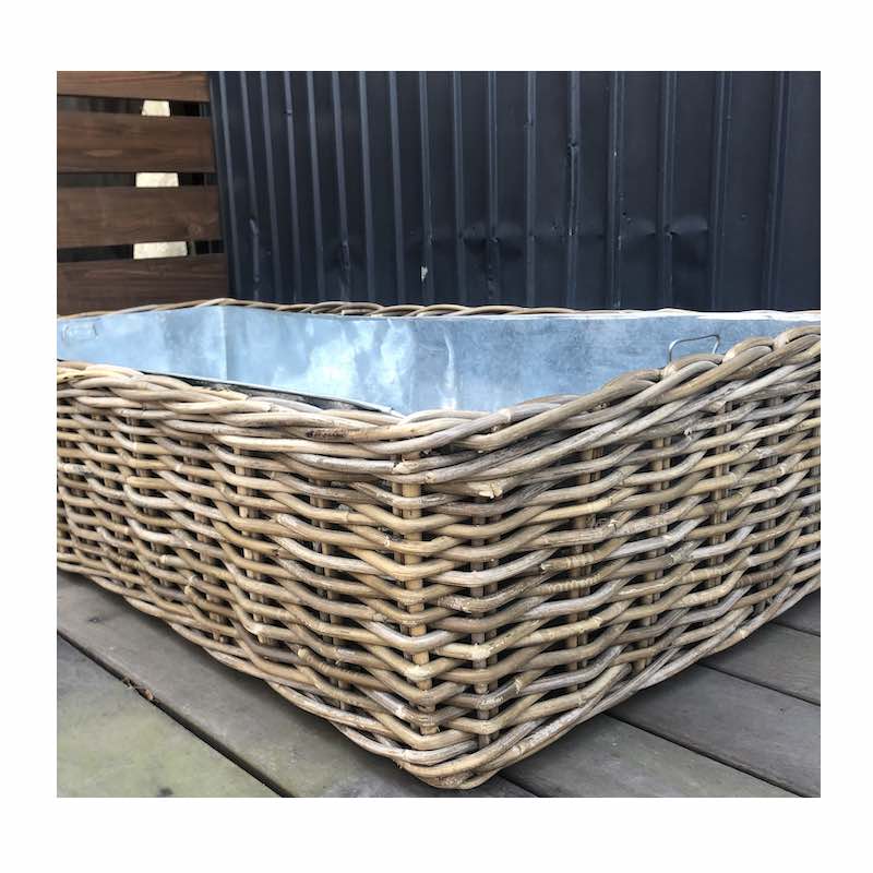 饿 ץ󥿡110 x 56cm