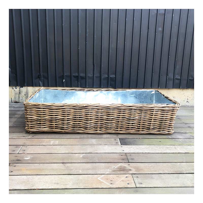 饿 ץ󥿡110 x 56cm