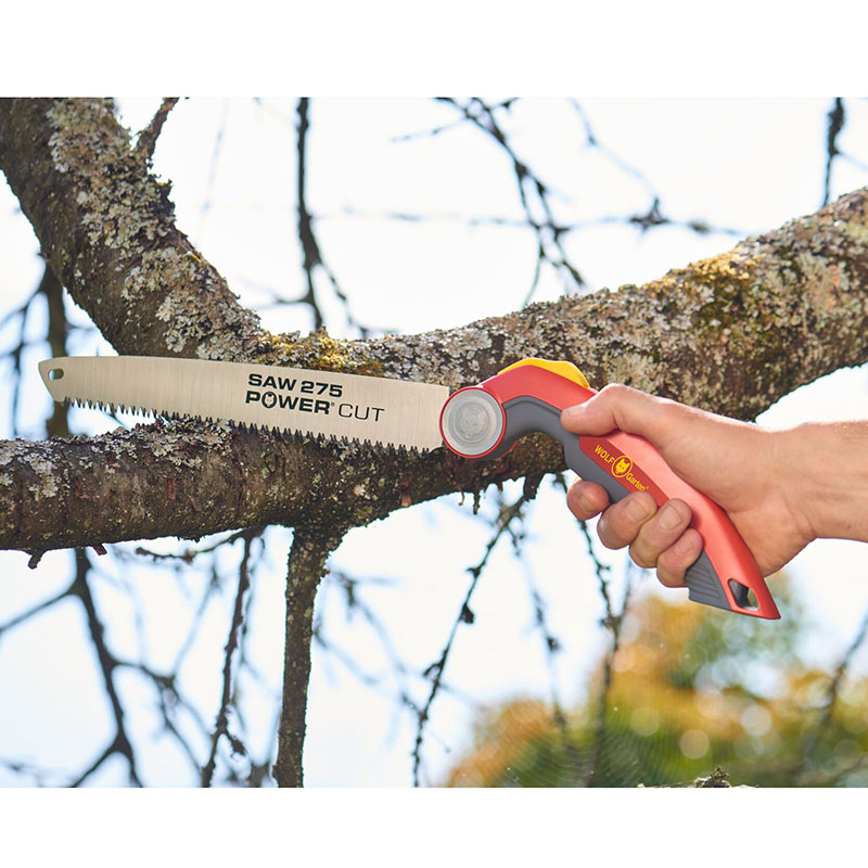 PCS275 դΤWOLF Garten