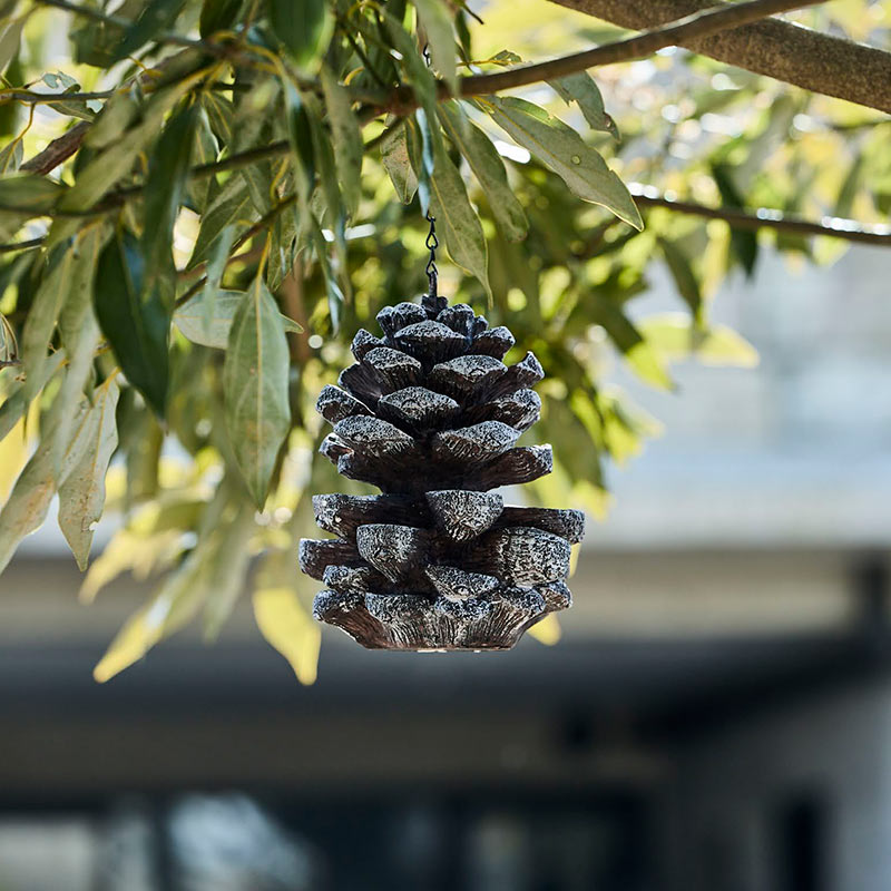 ܤäΥСɥեESSCHERTۥå㡼