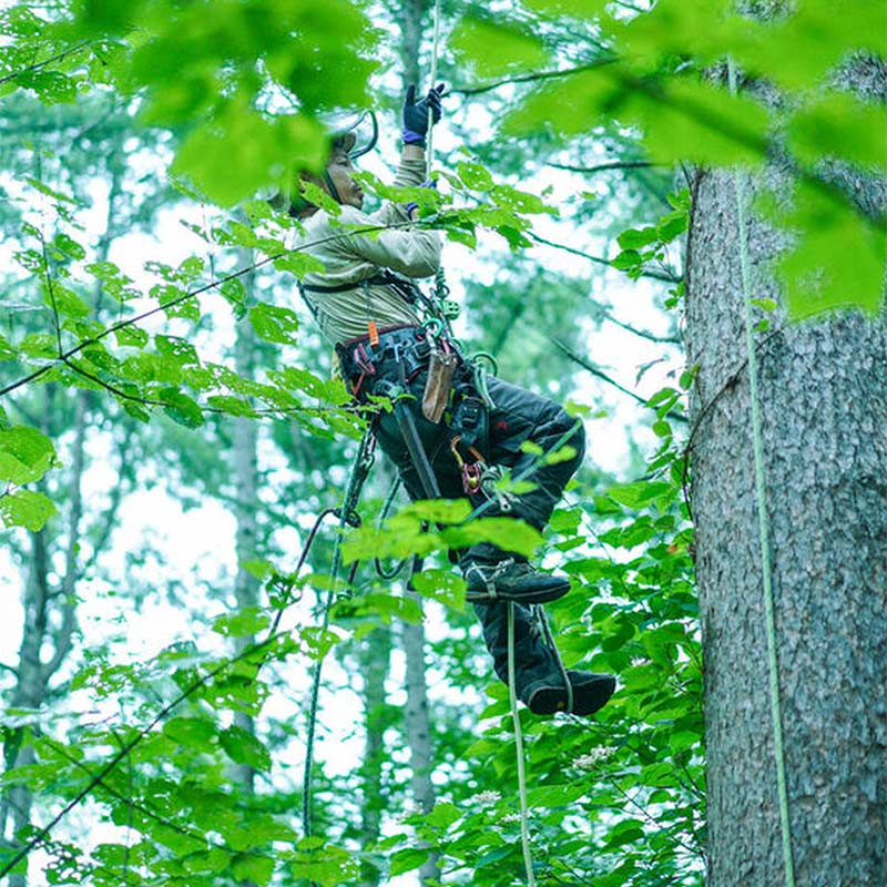 �־��ȥ���ǥ������ڡ��륨���� IPA 6�ܥ��å� 330ml ��PECCARY BEER��