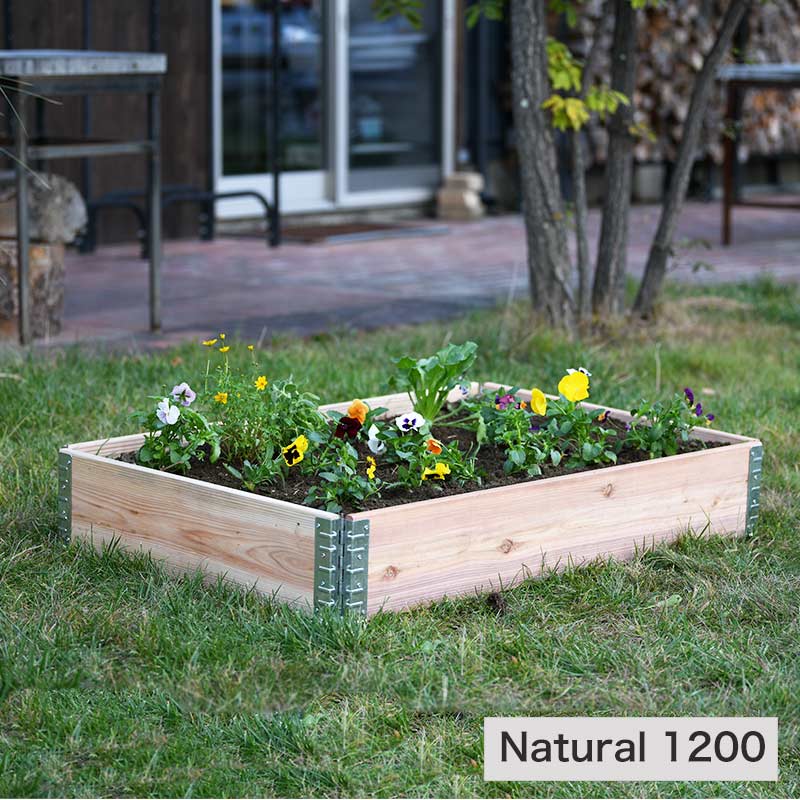 a+design ǥܥå å쥤ɥ٥å/ץ󥿡 åץ饹ǥ ǥܥå