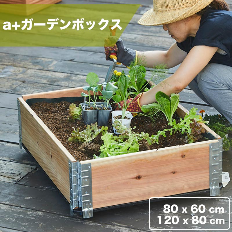 a+design ǥܥå å쥤ɥ٥å/ץ󥿡 åץ饹ǥ ǥܥå