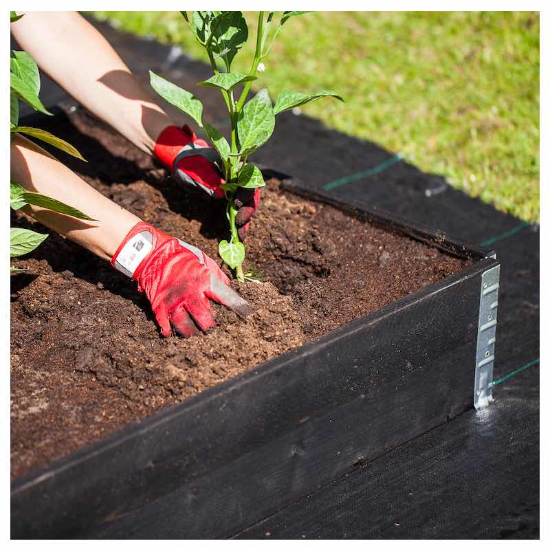 a+design ǥܥå å쥤ɥ٥å/ץ󥿡 åץ饹ǥ ǥܥå