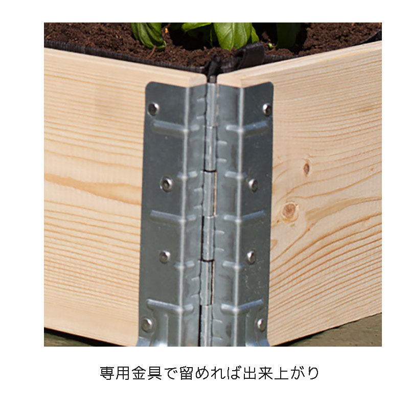 a+design ǥܥå å쥤ɥ٥å/ץ󥿡 åץ饹ǥ ǥܥå