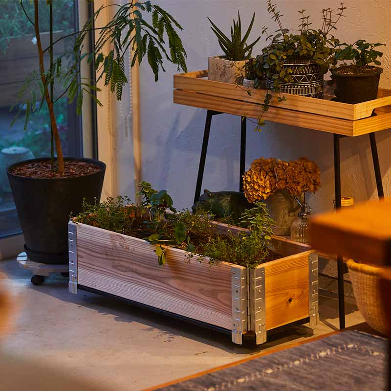 ǥܥå 㥹դ١  ѥ١a+ǥ