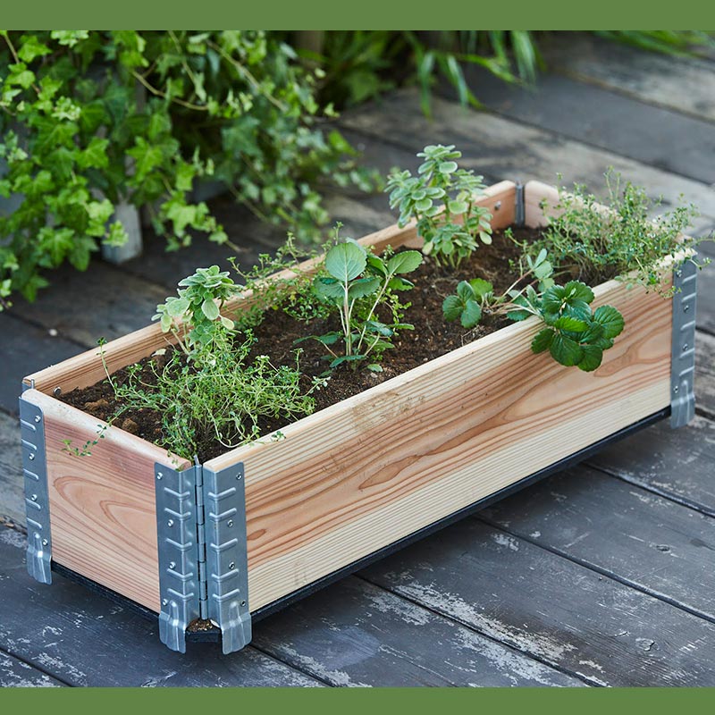 ǥܥå 㥹դ١  ѥ١a+ǥ