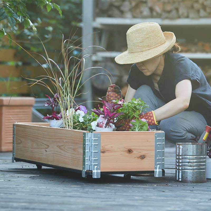 ǥܥå 㥹դ١  ѥ١a+ǥ