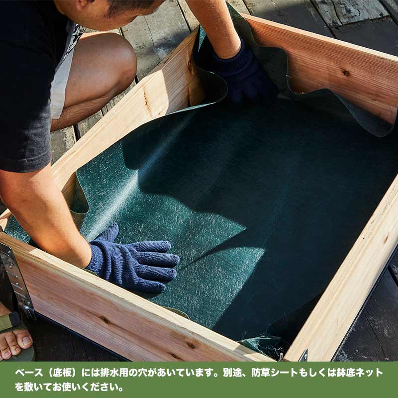 ǥܥå 㥹դ١  ѥ١a+ǥ