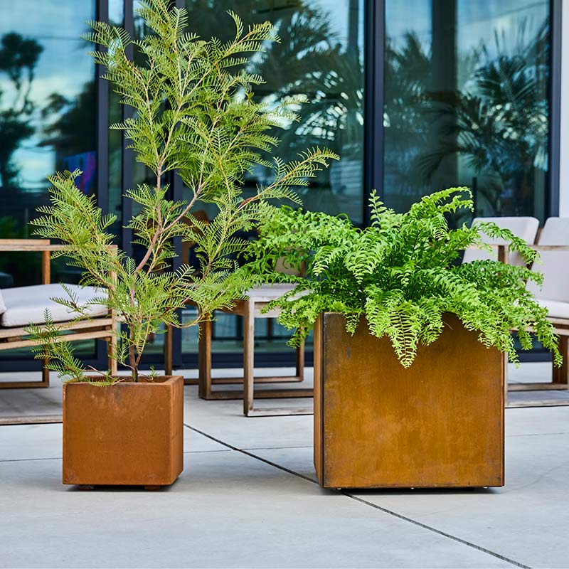 ���������ץ�󥿡� L300��a+ design�ۡåѥƥ��ʥץ�󥿡� 