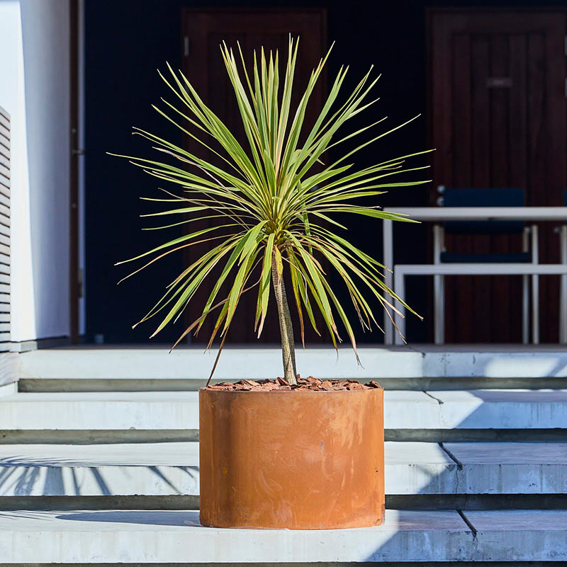 �쥤���ɥ饦��ɥץ�󥿡� ��600��a+ design�ۡåѥƥ��ʥץ�󥿡� ����ʤ�