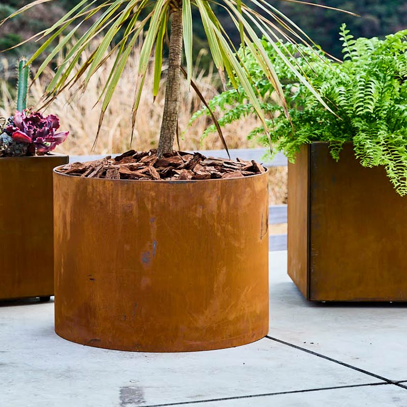 �쥤���ɥ饦��ɥץ�󥿡� ��600��a+ design�ۡåѥƥ��ʥץ�󥿡� ����ʤ�