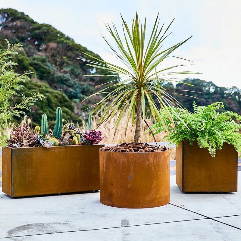 �쥤���ɥ饦��ɥץ�󥿡� ��600��a+ design�ۡåѥƥ��ʥץ�󥿡� ����ʤ�