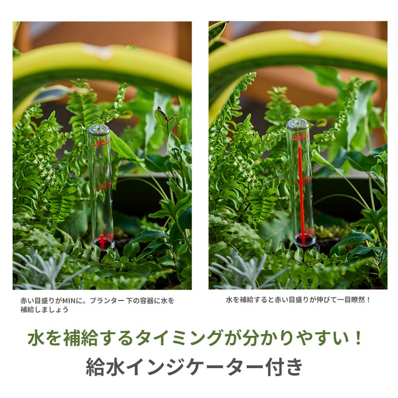 plastia ���եץ�󥿡� T �ȡ���  �饤�ȥ��졼/�饤�ȥ��꡼�� �� �ץ饹�ƥ��� ��plastia�ۼ�ư���ץ�󥿡�