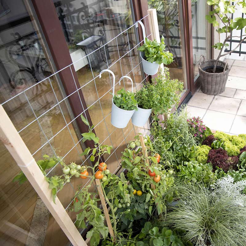 ȥꥹå ǥܥå W1200ѡUPYARDۡååץ䡼