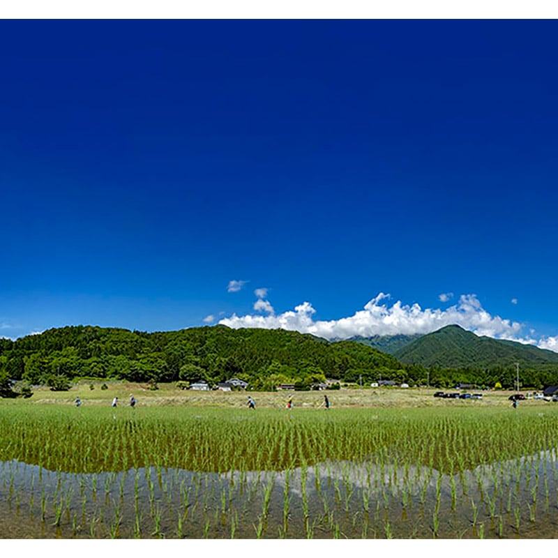 ǻ  ְݼԼˡɻ ײ򥻥åȡ720ml /   ڵŹ