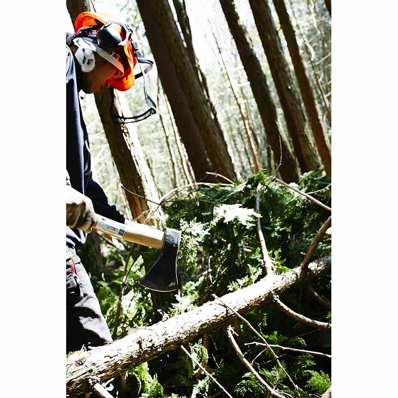 ��˥С�����ϥ����å� BP18-H2 ��BISON 1879��