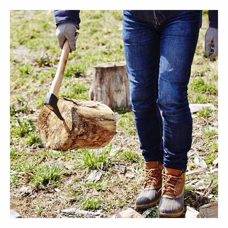 ԥå  BP18-P BISON 1879