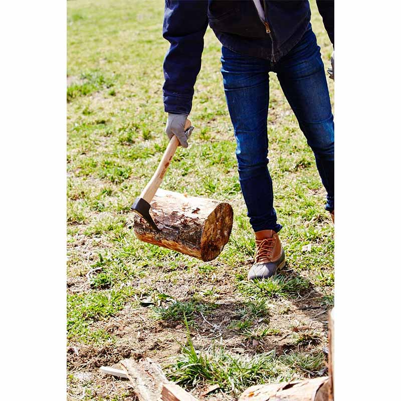 ԥå  BP18-P BISON 1879