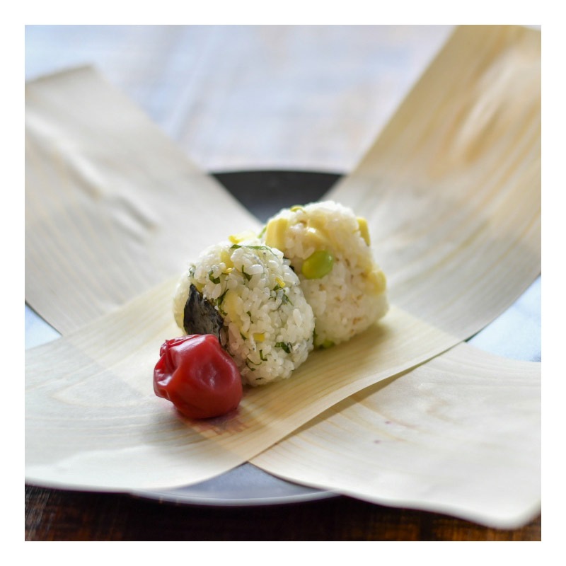   ShikiShort 20_ ޥĤηڡʤ礦ˡ24cm