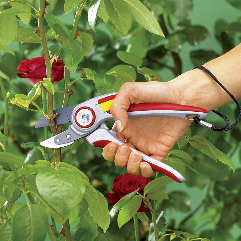 ӥХ L   RS-5000WOLF Garten