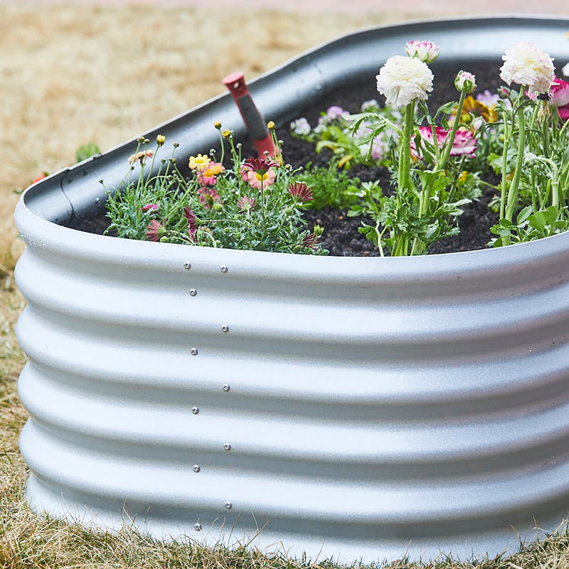 Vitavia �����ǥ�٥å� �� �쥤���ɥ٥å� ��Vitavia��