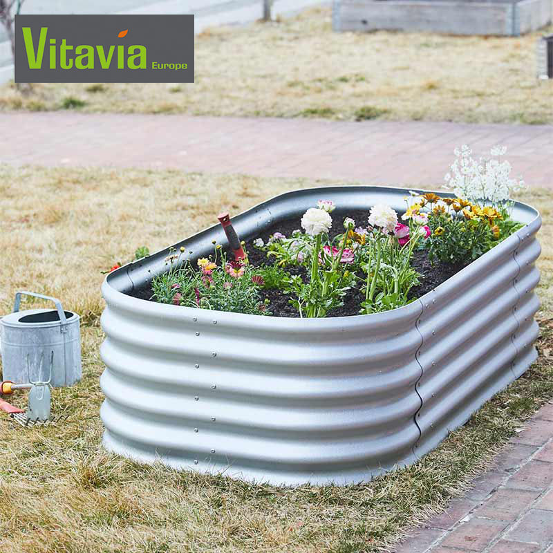 Vitavia �����ǥ�٥å� �� �쥤���ɥ٥å� ��Vitavia��