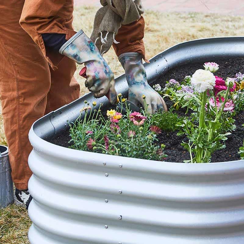 Vitavia �����ǥ�٥å� �� �쥤���ɥ٥å� ��Vitavia��