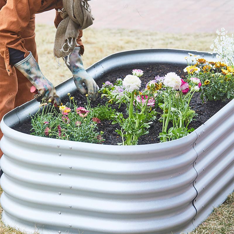 Vitavia �����ǥ�٥å� �� �쥤���ɥ٥å� ��Vitavia��