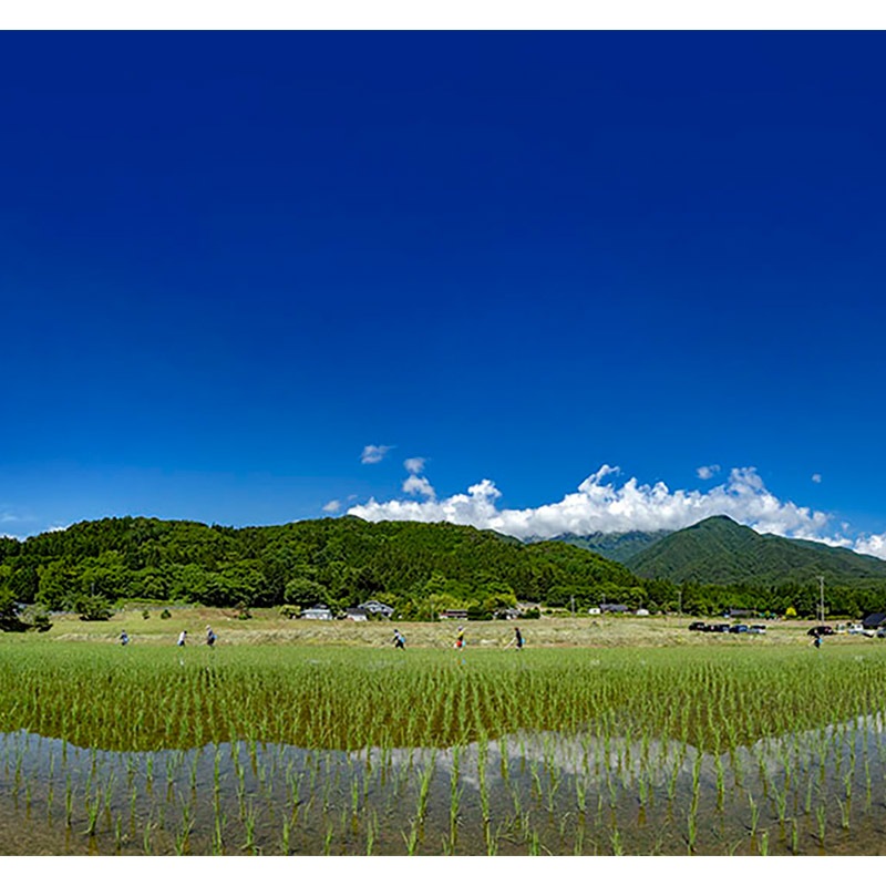 ǻ ƾ¤ »ܡסְݼԼˡ åȡ720ml / ڵŹۡڲΥåȡ