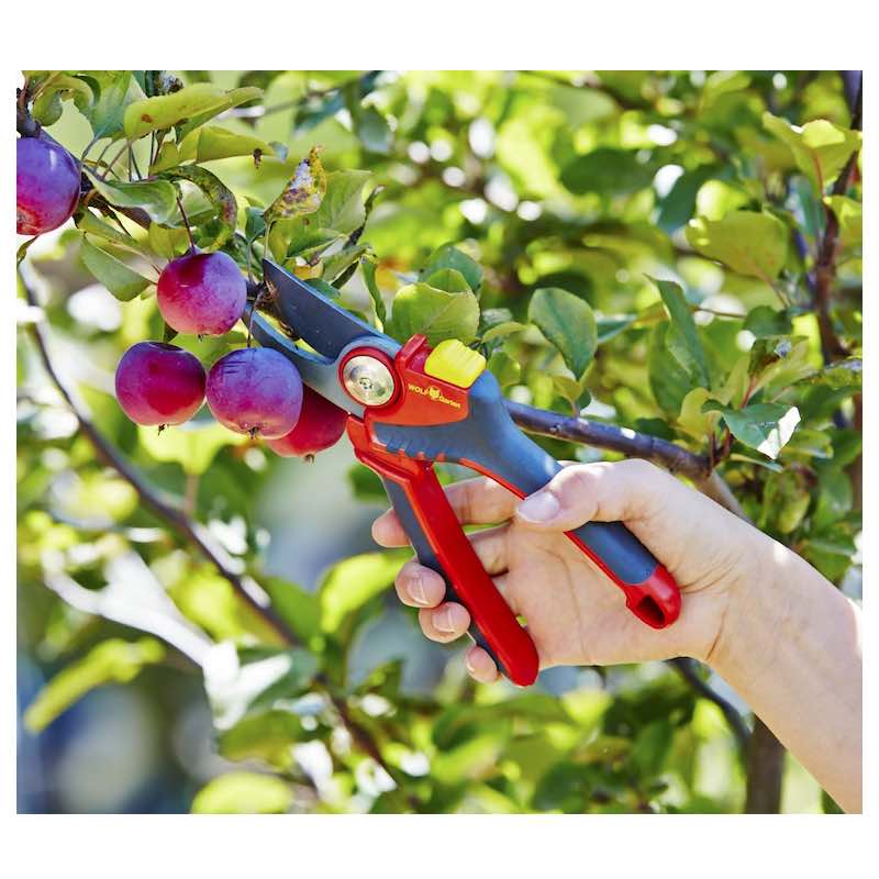 ХѥХ M/L  RR2500/RR4000WOLF Garten