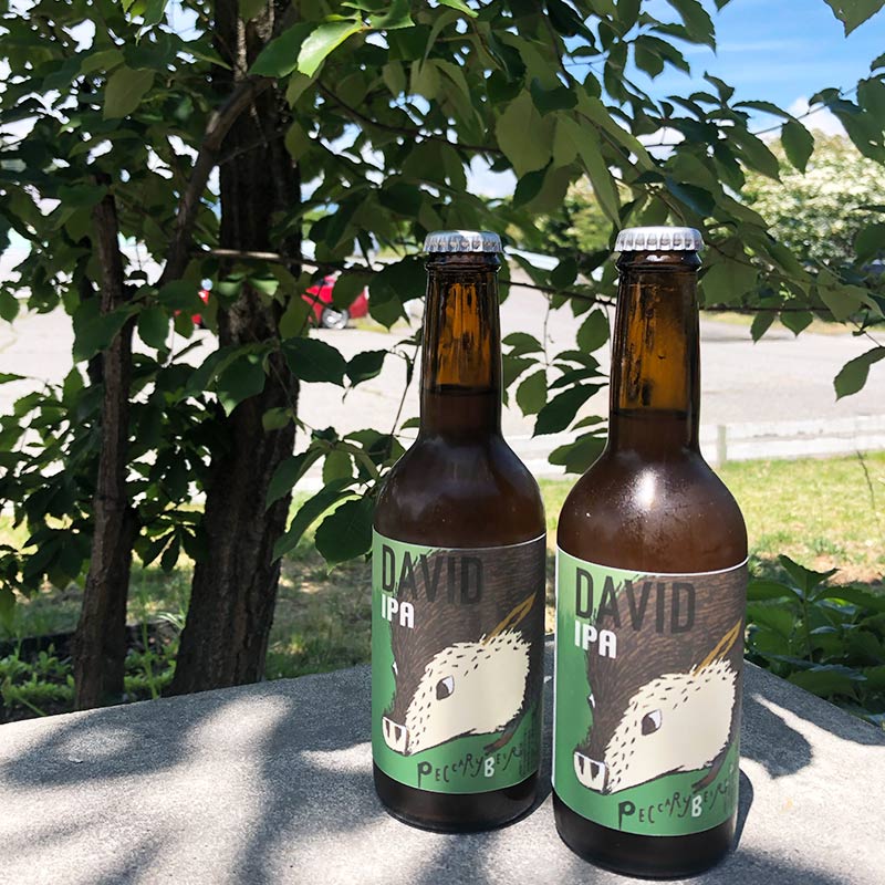 ���󥨡������ꡪ�������3�5�糧�å� 6������ 330ml���ڥå��꡼�ӡ��� ��PECCARY BEER��