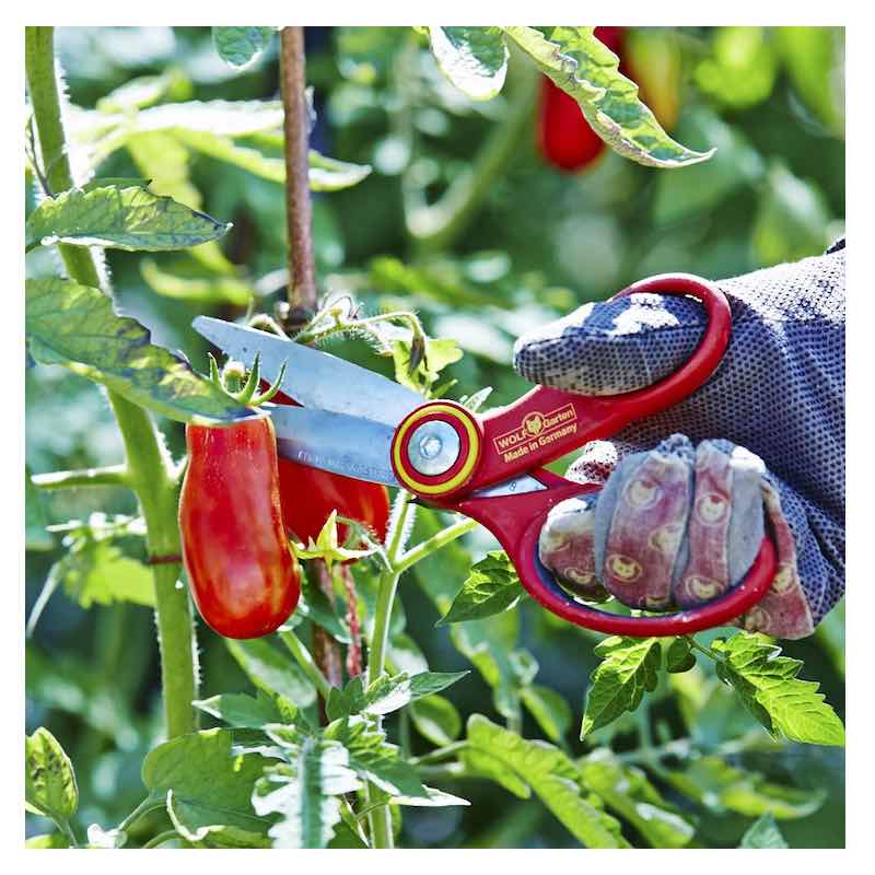 ¿ŪХߡRA-XWOLF Garten