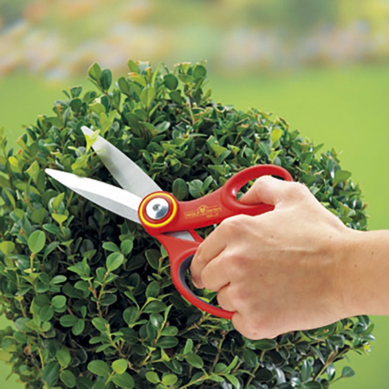 ¿ŪХߡRA-XWOLF Garten