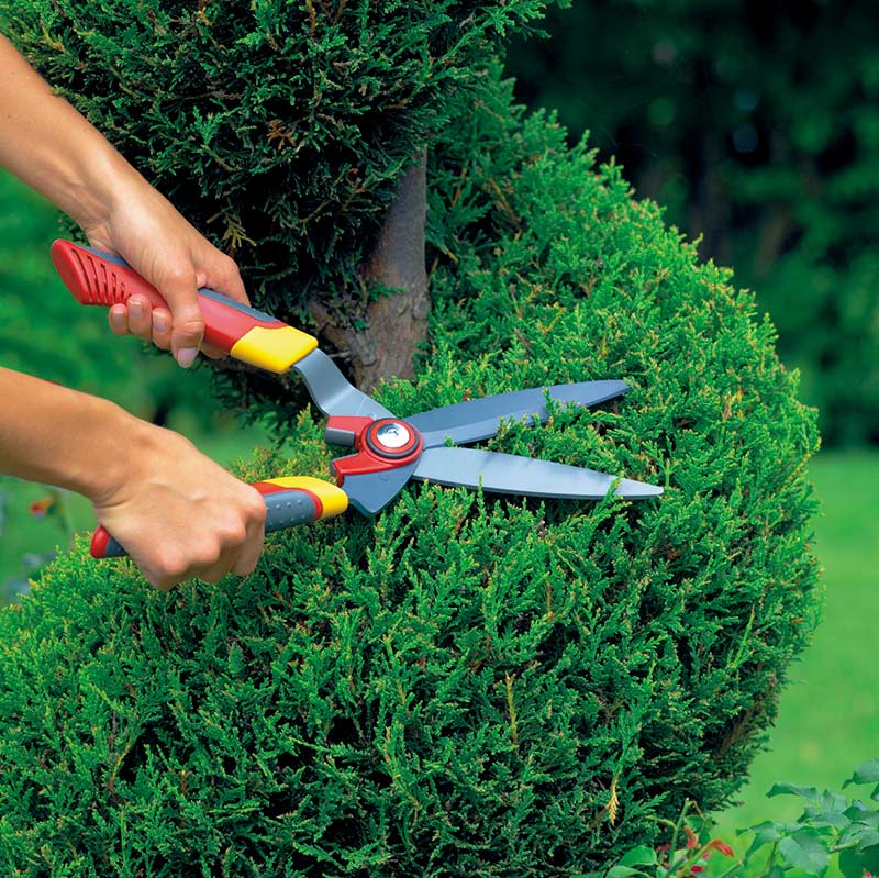 �����Х��� HS-B ��WOLF Garten�ۡ������� ����ե���ƥ�