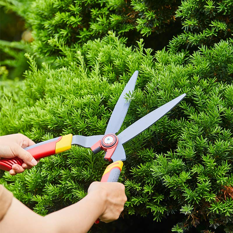 �����Х��� HS-B ��WOLF Garten�ۡ������� ����ե���ƥ�