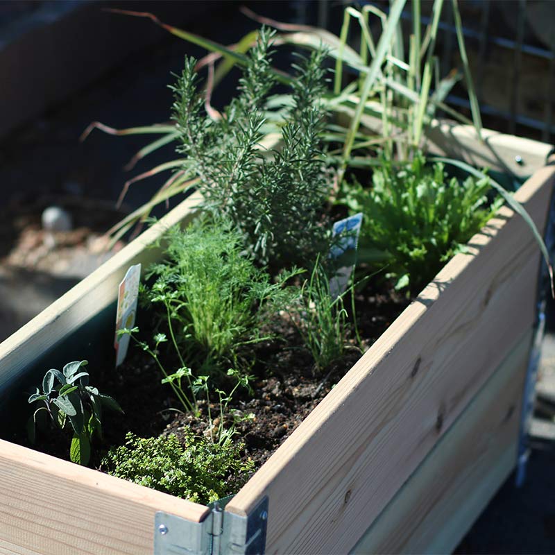 ǥܥåॿ å쥤ɥ٥å/ץ󥿡 a+ǥ