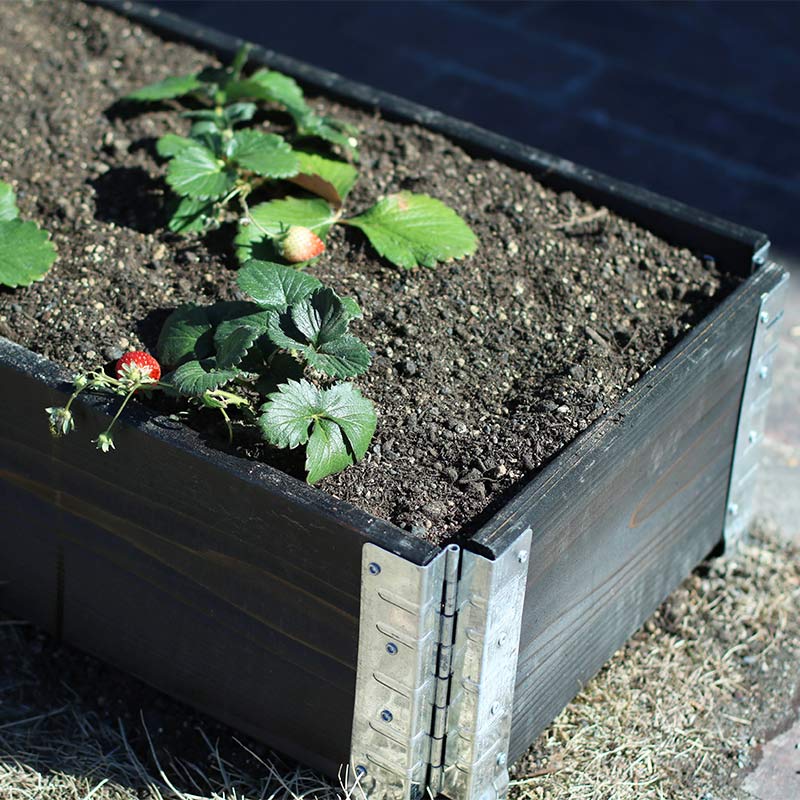 ǥܥåॿ å쥤ɥ٥å/ץ󥿡 a+ǥ