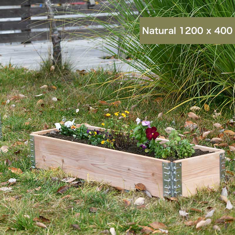 ǥܥåॿ å쥤ɥ٥å/ץ󥿡 a+ǥ