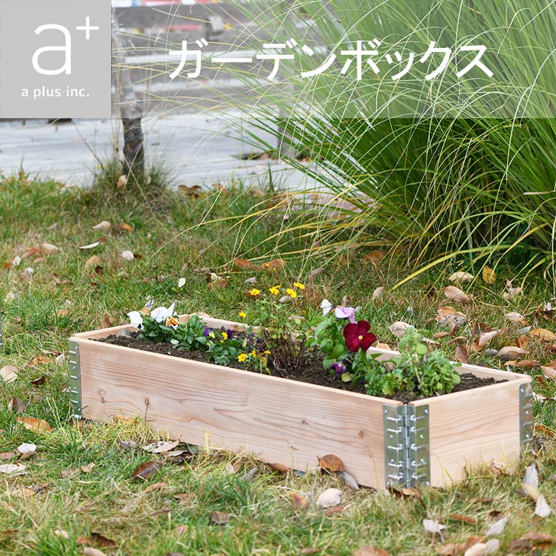 ǥܥåॿ å쥤ɥ٥å/ץ󥿡 a+ǥ