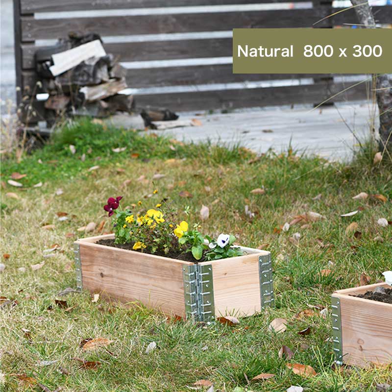 ǥܥåॿ å쥤ɥ٥å/ץ󥿡 a+ǥ